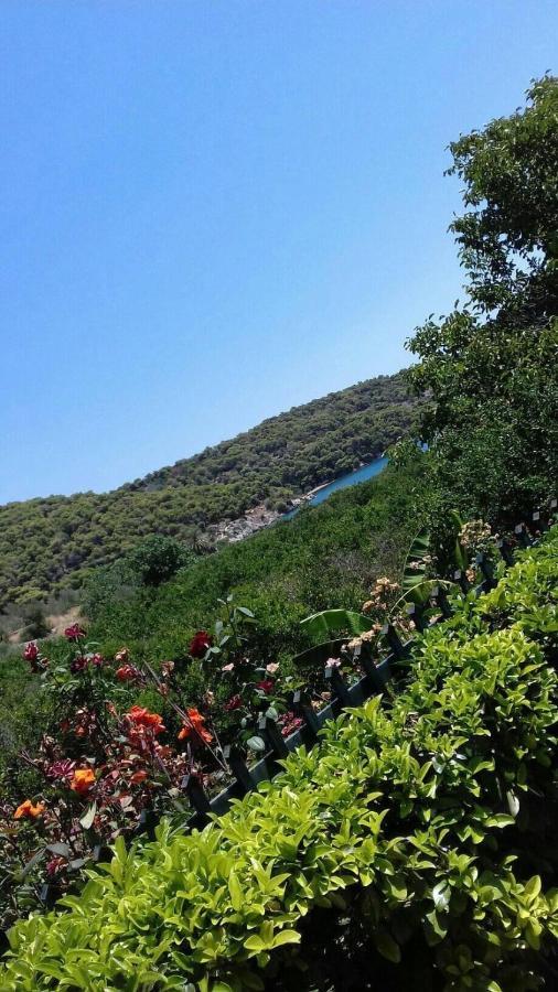 Hotel Marialena Epidaurus 外观 照片