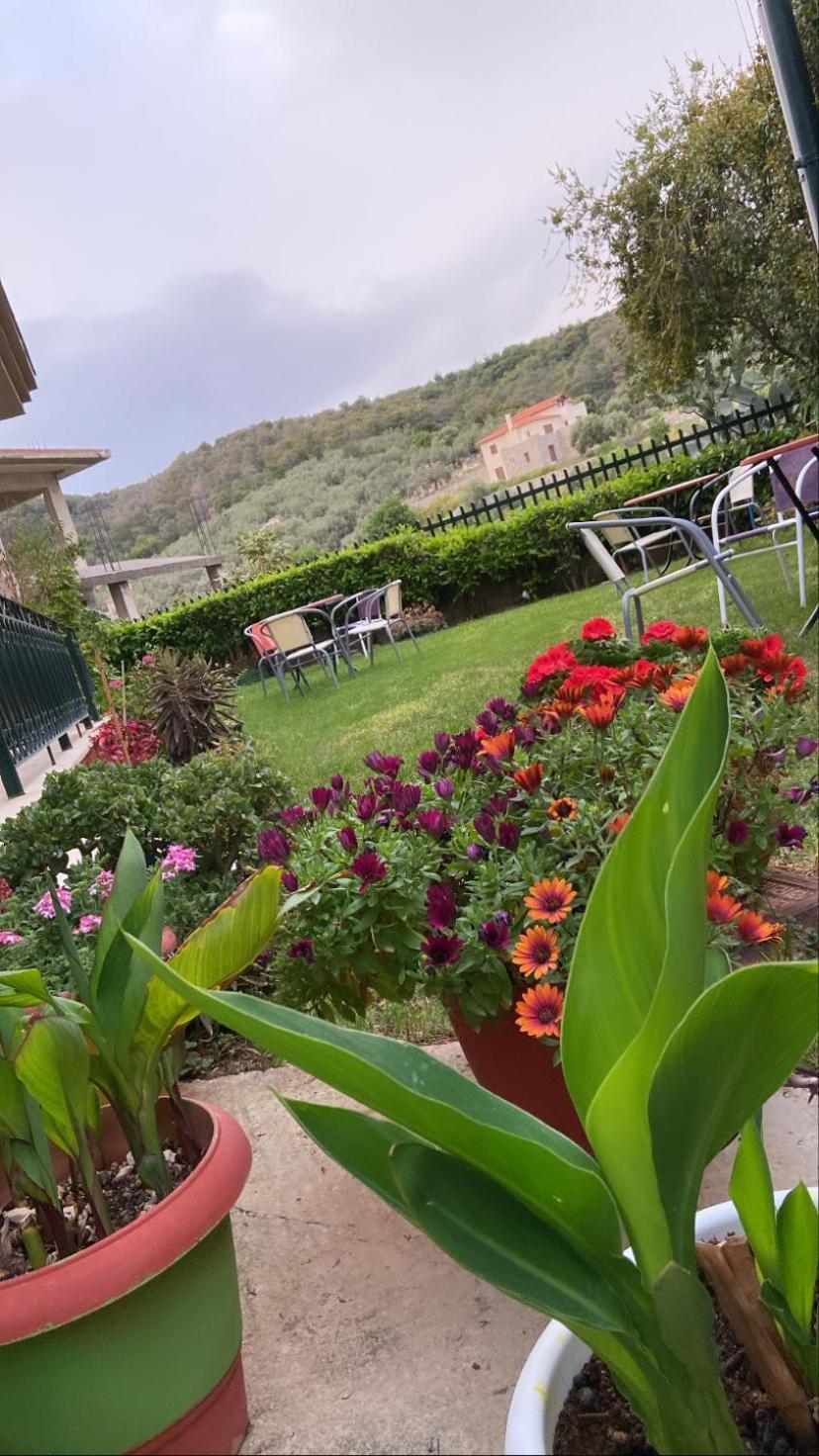 Hotel Marialena Epidaurus 外观 照片